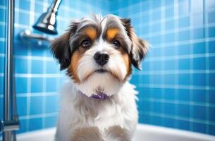 ai generato divertente ritratto di cane assunzione doccia su bagno a animale domestico governare salone foto