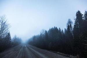 nebbia spettrale e cattiva visibilità su una strada rurale nella foresta