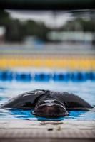 apnea performer che fa apnea statica foto