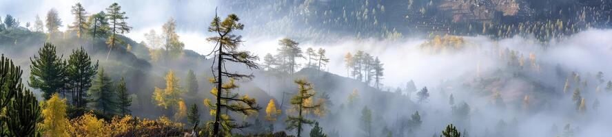 nebbioso montagna mattina paesaggio foto