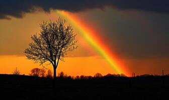 colorato arcobaleno dopo primavera piovere, arcobaleno su buio nuvoloso cielo foto