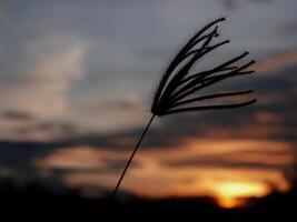 spettacolare tramonto Sopra, arancia sole crescente su al di sopra di il orizzonte foto