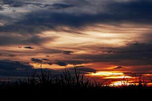 spettacolare tramonto Sopra, arancia sole crescente su al di sopra di il orizzonte foto