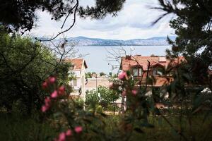 Visualizza di Istanbul e il baia a partire dal del principe isola foto