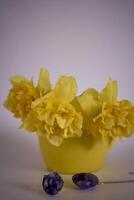 fiore preparativi di giallo giunchiglie nel un' giallo tazza su un' rosa sfondo foto