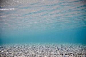 sott'acqua del fiume di acqua limpida foto