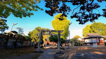 rokugatsu hachiman santuario, un' santuario nel rokugatsu, adachi-ku, tokyo, Giappone. esso era costruito durante il 1053-1058 foto