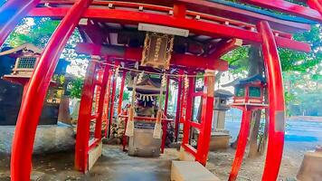 Shinjuku, tokyo, Giappone. hanazon santuario, un' santuario in piedi nel il mezzo di il città. esso esisteva nel 1590, il anno tokugawa ieyasu entrato tokyo foto