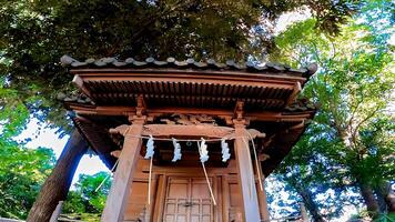 hiratsuka santuario, un' santuario nel Kaminakazato, kita-ku, tokyo, Giappone. esso ha stato custodire hachiman taro minamoto no yoshiie, un' eroe di il in ritardo heian periodo, e il suo Due minore fratelli da 1118. foto