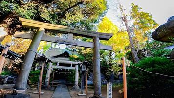 shimano washi santuario è collocato nel shimane, adachi reparto, tokyo, Giappone. Questo la zona è disse per essere un antico baia dove il di Dio atterrato su Barche foto