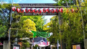 koi noboris, carpa filanti visualizzato a un' santuario nel il fresco verde. è un' giapponese costume, per Schermo a forma di carpa banner nel il giardino per desiderio per il salutare crescita di ragazzi su Drago barca Festival. foto