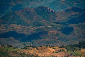 il sbalorditivo Visualizza nel foresta parco a partire dal un' turisti punto di vista come essi partire giù un' collina con sfondo di blu cielo, foresta pluviale, Tailandia. uccelli occhio Visualizza. aereo Visualizza. foto