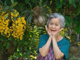 anziano donna sorridente molto contento e guardare a il telecamera mentre in piedi accanto bellissimo giallo orchidee nel un' giardino. foto