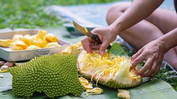 avvicinamento di un' donna di mani era taglio maturo jackfruit mentre seduta nel un' giardino. frutta per Salute foto