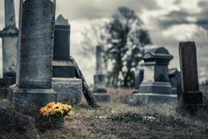 bouquet di girasoli in un triste cimitero foto