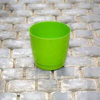 verde tazza su pietra pavimento foto