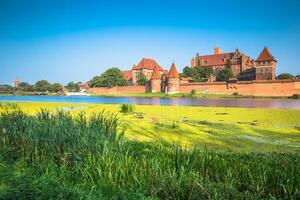 malborto castello nel Polonia medievale fortezza costruito di il teutonico cavalieri ordine foto