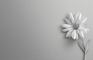 un' singolo bianca fiore su un' bianca sfondo foto