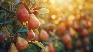 ai generato gruppo di pere sospeso a partire dal albero foto