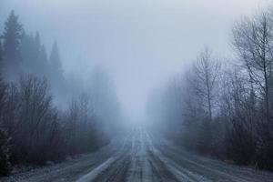 nebbia spettrale e cattiva visibilità su una strada rurale nella foresta foto