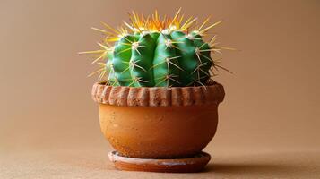 ai generato piccolo cactus nel argilla pentola su tavolo foto