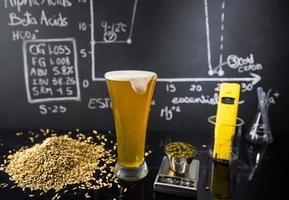 scienza della birra lavagna nera con grafico, dati e specifiche, luppolo, cereali e strumenti sul processo di produzione foto