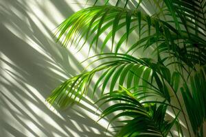 ai generato bianca sfondo con ombre getto di tropicale palma foglie, la creazione di un' fresco e naturale Guarda foto