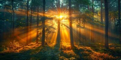 ai generato bosco paesaggio con raggi di sole penetrante attraverso il fogliame foto