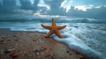 stella marina su sabbioso spiaggia di oceano foto