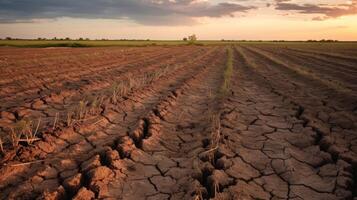 arido agricolo terra Esposto alle intemperie terreno foto