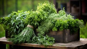 abbondanza di appena tagliare erbe aromatiche nel scatola di cartone foto