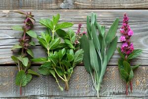 medicinale erbe aromatiche alternativa medicina su di legno sfondo. foto