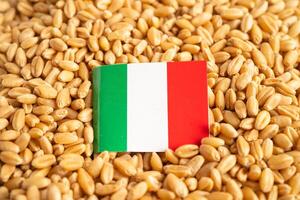 cereali Grano con Italia bandiera, commercio esportare e economia. foto