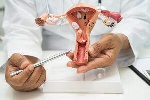 utero, medico con anatomia modello per studia diagnosi e trattamento nel Ospedale. foto