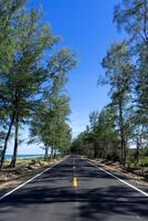 vuoto strada con pino alberi e blu cielo. foto