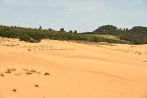 il struttura di sabbia nel il deserto come un' naturale sfondo. foto