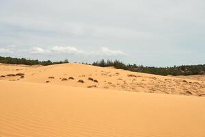 il struttura di sabbia nel il deserto come un' naturale sfondo. foto