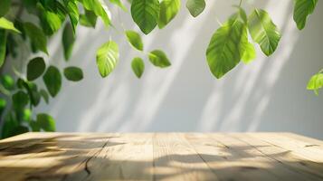 legna podio tavolo pavimento sfocato verde foglia su bianca parete natura sfondobellezza cosmetico naturale Prodotto posizionamento piedistallo displayjungle estate concetto, foto