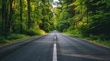 strada sfondo, accogliente strada con marcature e denso. estate foresta su il lati. foto