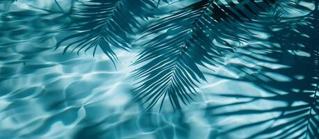 un' verde palma le foglie riflessa nel il acqua. tropicale foglia ombra su acqua superficie. ombra di palma su blu acqua. bellissimo astratto sfondo foto