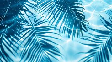 un' blu palma le foglie riflessa nel il acqua. tropicale foglia ombra su acqua superficie. ombra di palma su blu acqua. bellissimo astratto sfondo foto