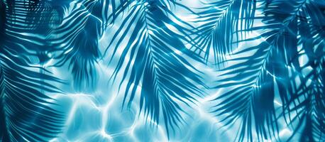 un' blu frondoso sfondo con un' palma albero nel il primo piano foto