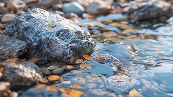 autunno Riva del fiume. scintillante acqua superficie con caduto le foglie. foto