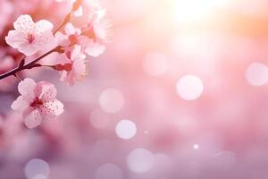 rosa sakura fiori, primavera sfondo con copia spazio foto