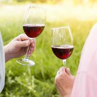 bicchieri da vino con mani di vino rosso picnic di coppia foto