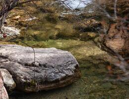 il pietra bugie nel il letto del fiume, in mezzo un' naturale paesaggio di erba e Di legno. un' montagna fiume. un' tronco e rami partenza a partire dal esso, completando il paesaggio. sfondo. orizzontale foto