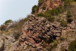 un' avvicinamento di un' roccia di fondo formazione con Marrone legna tronchi e terrestre impianti in crescita come copertura del terreno, la creazione di un' modello di erba su il roccia. struttura. sfondo. foto