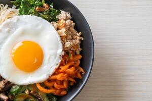 insalata piccante coreana con riso - cibo tradizionalmente coreano, bibimbap foto