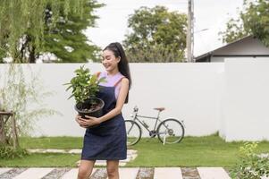giovane asiatico donna piantare albero nel il giardino all'aperto a casa. foto