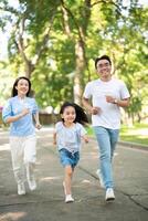 foto di giovane asiatico famiglia a parco